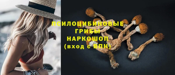 винт Абаза