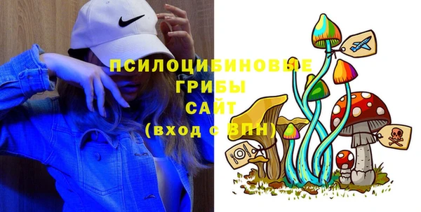 дурь Абдулино