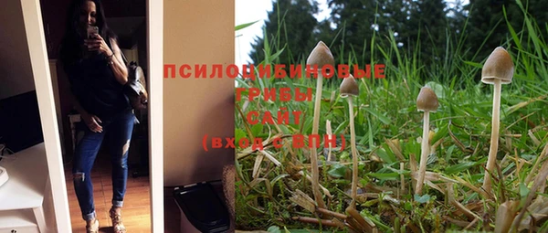 дурь Абдулино